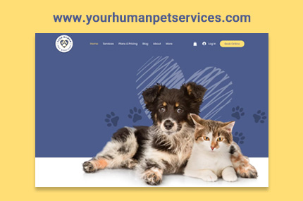 طراحی وب سایت- Web Design